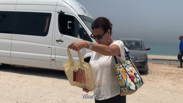 Aida Returns