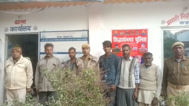 थाना क्षेत्र में शांति व्यवस्था बनाए रखने हेतु थाना शिवनगर डीडइ पुलिस ने 5 अभियुक्तों को किया गिरफ्तार भेजा न्यायालय ।