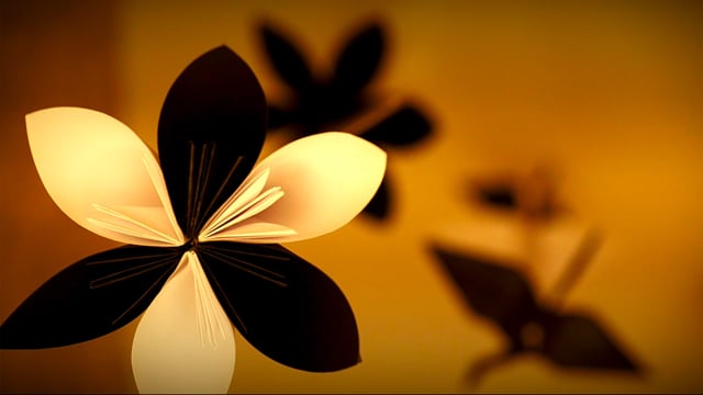 BLOOM 2021 Trailer