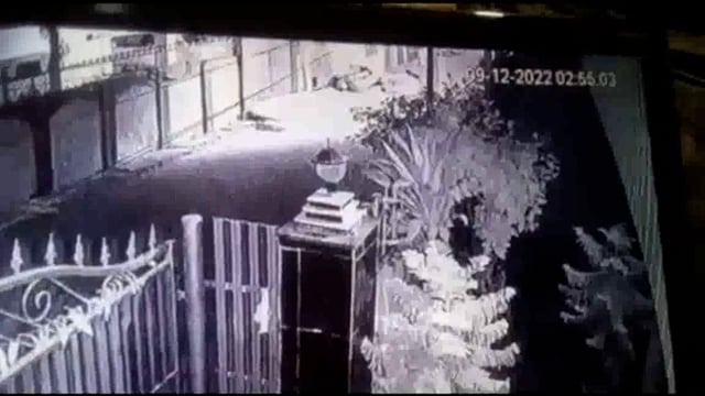 मथुरा में एक स्त्री नग्न अवस्था में घूमती है जिसे देख दहशत में जी रहे हैं लोग वीडियो वायरल