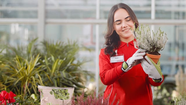 Recruitingspot | Trainee Duales Abiprogramm