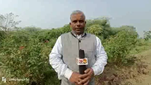 जालौन

बदलते बुंदेलखंड की तस्वीर युवा पीढ़ी अपनी पहचान बनाने में जुटी 