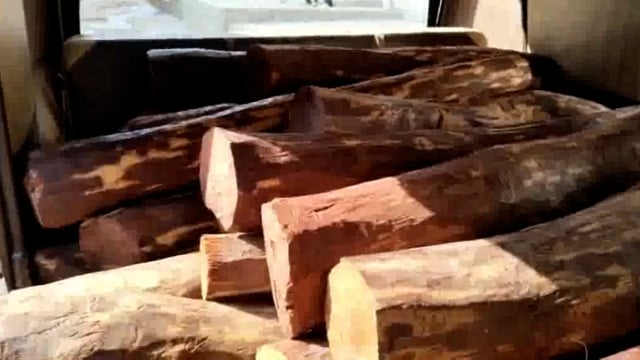 मथुरा पुलिस को मिली बड़ी सफलता करोड़ों रुपए की चंदन की लकड़ी के साथ सात तस्कर गिरफ्तार 