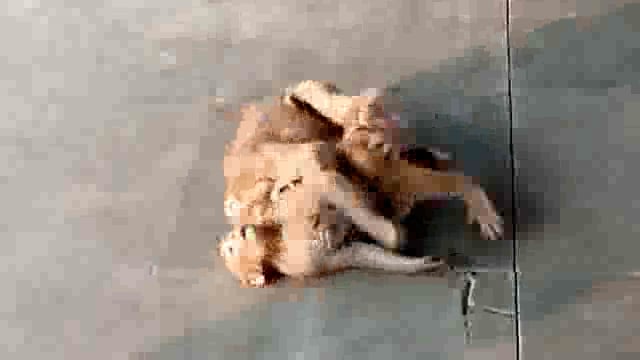  धूप निकली, तो छाई मस्ती