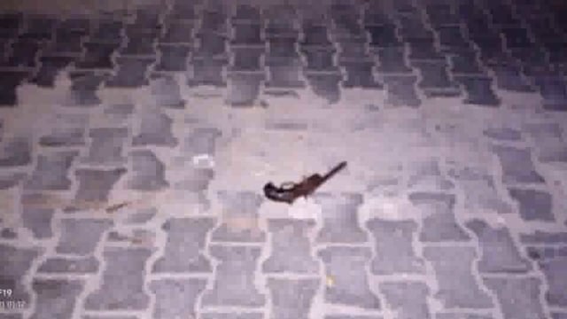 ऑटो सवार बदमाशों ने शांत खेत्र में ले जाकर महिला से की छेड़छाड़  बैग लेकर हुए फरार पुलिस ने मुठभेड़ मे एक घायल को पकडा