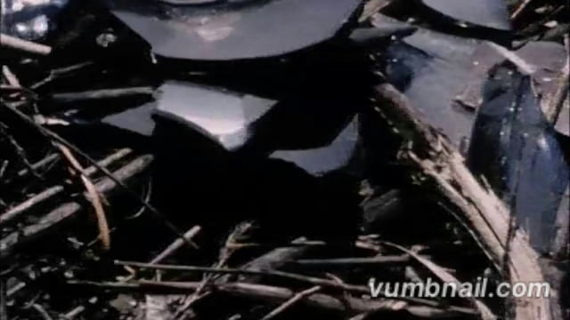 Gilding the Lily @ MIX New York Queer Film Festival 2013 thumbnail