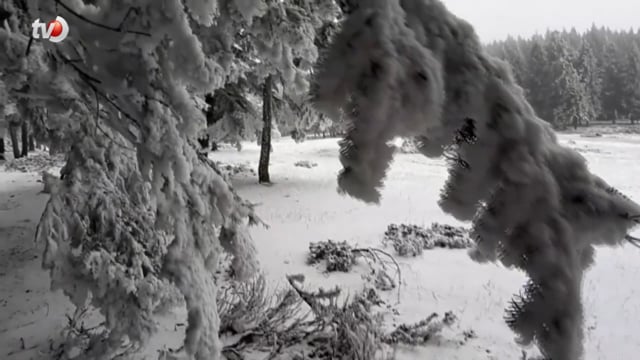 Abant Tabiat Parkı'nda Kar Yağışı Başladı