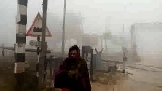 बृज प्रदेश में छाई कोहरे की घनी चादर: जनजीवन हुआ अस्त-व्यस्त