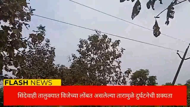 सिंदेवाही तालुक्यात शेतात लोंबत असलेल्या विद्युत तारामुळे दुर्घटना होण्याची शक्यता. 