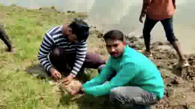 करडगाव परिसरातून अजगर जातीच्या सापास रेस्क्यू करून ; नागरिकांना केले भयमुक्त