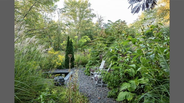 Claire Takacs garden photographer