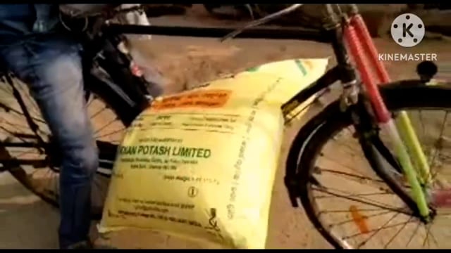 प्रखंड पदाधिकारियों के लाख कोशिशों के बाद भी यूरिया खाद ₹600 प्रति बोरा खरीदने को मजबूर किसान 