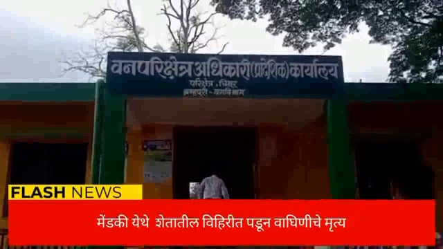 ब्रह्मपुरी वनपरिक्षेत्रातील मेंडकी येथे एका शेतातील विहिरीत पडून वाघिणीचे मृत्यू. 