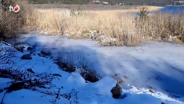 Abant Gölü'nün Kıyıları Buz Tuttu