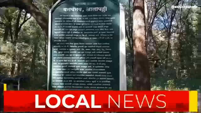 आलापल्ली वनक्षेत्रात कमी होताहे वनजमीन