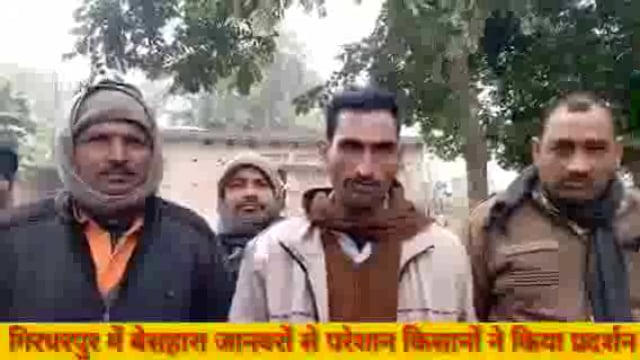 गोंडा: बेसहारा जानवरों से परेशान किसानों ने किया प्रदर्शन 