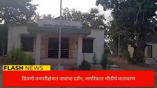 वाघाचा बंदोबस्त करा- शिवनी वनपरिक्षेत्रातील नागरिकांची मागणी. 