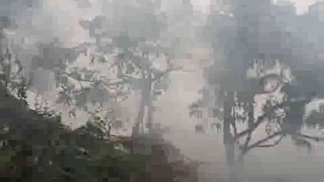 घने कोहरे के चलते जीवन अस्त-व्यस्त