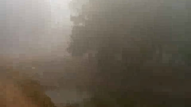 ग्रामीण क्षेत्र में सीजन का घना कोहरा 