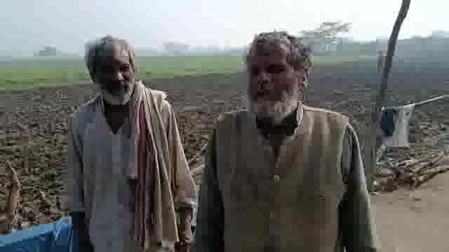 ग्राम पंचायत राल में खड़ी फसल पर चला ट्रैक्टर