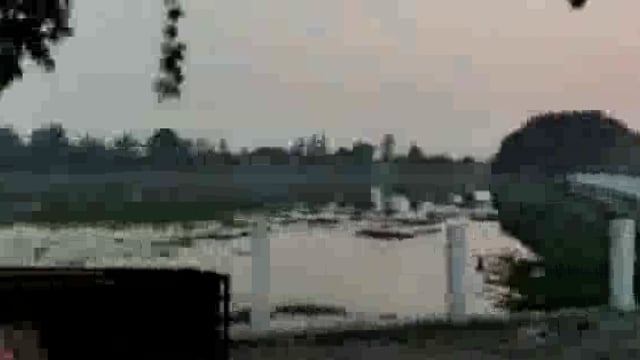 कोंच,आखिर नीम के पेड़ में कैसे लगी आग,क्या ये कोई 
चमत्कार है या कुछ और एक घंटे की कड़ी मसक्क्त के बाद आग बुझी

