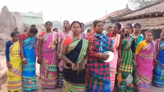 प्रखंड क्षेत्र के आदिवासी समुदाय के महान पर्व सोहराय का आज से आगाज,समुदाय के लोगो में खुशी*