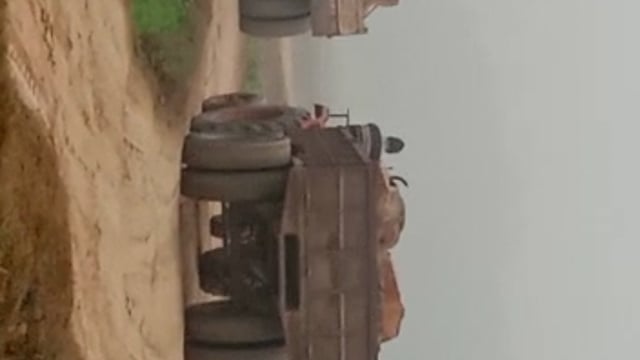 थाना मांधाता क्षेत्र में हरे पेड़ों की कटाई जोरों पर, वन विभाग की आँख बंद
