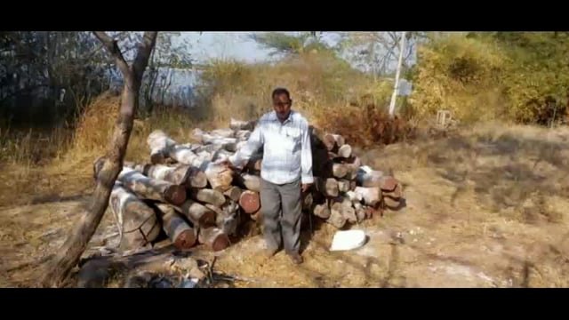 खरसुंडीत अवैध सागवानाचा लाकडी साठा जप्त
आटपाडी वनविभागाची  कामगिरी