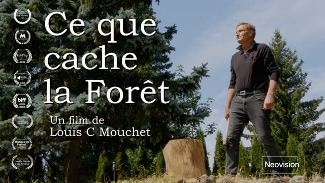 Bande annonce du film CE QUE CACHE LA  FORÊT