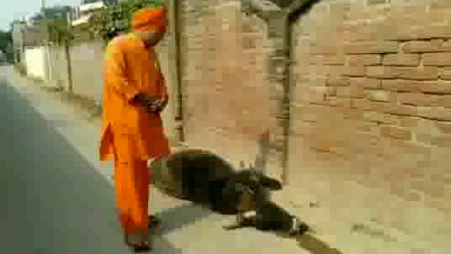 विहिप डॉ शिवेशानंद ने गौ को पीट पीट कर मारने वालों के विरुद्ध दी तहरीर

