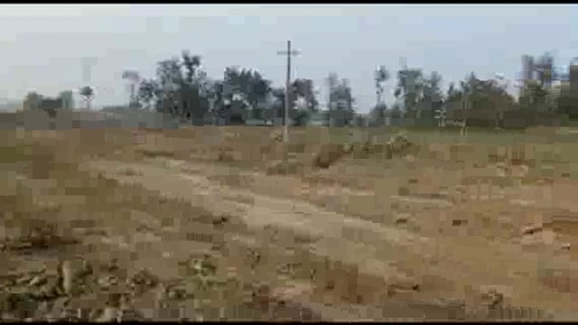 नवाबगंज थाना क्षेत्र के हरिवंशपुर गांव में दिनदहाड़े प्रतिबंधित हरे पेड़ों की कटान जारी 