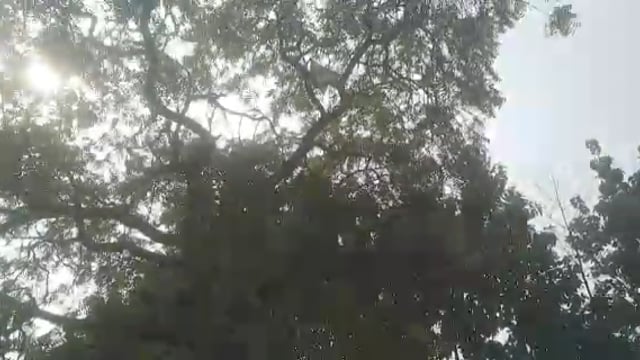 वजीरगंज के जगदीशपुर के मरी माता प्रांगण मे श्रीरामचंद्र एजूकेशनल सोसायटी द्वारा खिचड़ी समरसता भोज का किया गया आयोजन