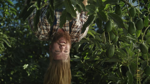 The Better Avocado (2021) video 1