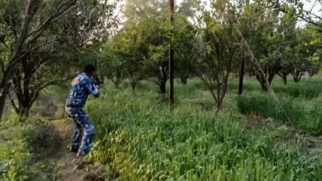 पोहरा गावातून रेस्क्यु टीम ने बेशुद्ध करून बिबट ला केले जेलबंद
