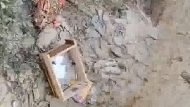 पैथालोजी सेंटर समेत तीन दुकानों में लाखों की चोरी







थाना संग्रामगढ़ बाबागंज