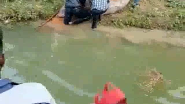 ग्रामीणों ने नहर से डाल्फिन मछली पकड़ी
मौके पर पुलिस व वन विभाग के अधिकारी पहुँचे