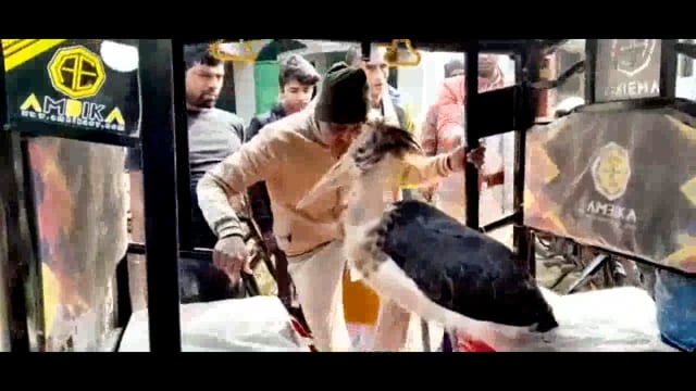 *सातपट्टी वांशीपुर गांव में मिला विष्णु भगवान की सवारी पक्षी गरूड़,ग्रामीणों ने किया वनपाल के हवाले*