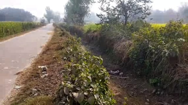 धांधली: नहर सफाई के नाम पर हो रही सरकारी खजाने की सफाई
प्रतापगढ़ ब्रांच, सगरा रजबहा से निकलने वाली माइनर सफाई मे धांधली