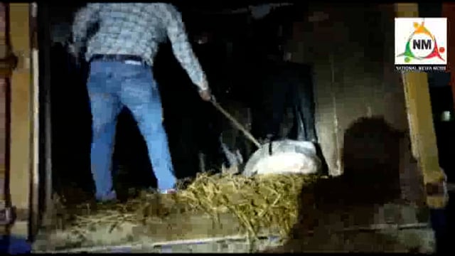 गौ रक्षक के कार्यकर्ताओं ने पकड़ा गोवंश से भरा आयसर कैंटरा तस्करों के खिलाफ थाना हाईवे में कराई एफआईआर दर्ज ।