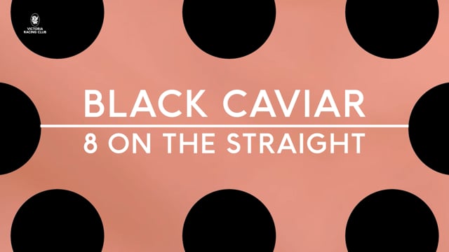 Black Caviar - 8 Down The Flemington Straight