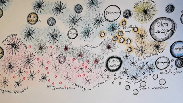 Le Jardin Champetre – Designing for year-round interest  in a Mediterranean Garden