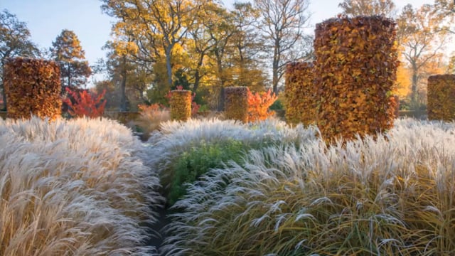 Tom Stuart-Smith – The Longevity of Plantings