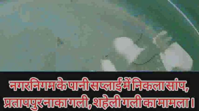 नगरनिगम के सप्लाई वाले पाइन के पानी मे सांप निकलने से मची अफरा तफरी, मामला प्रतापपुर नाका गली,सहेली गली का अमृत मिशन....