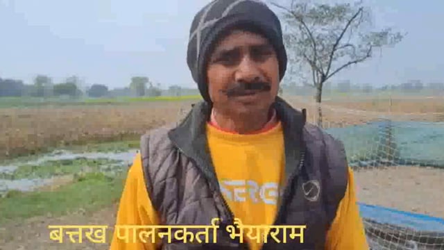 बत्तख पालनकर्ता से अज्ञात युवक ने मांगे अंडे, आरोप है कि अंडे नहीं मिलने से नाराज युवक ने शायद दिया जहर, बतख की मौत