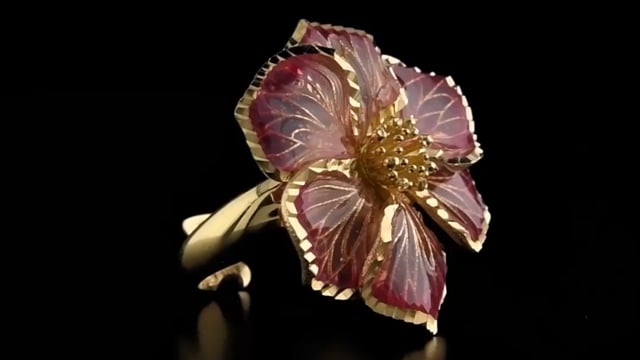  Video Photo 