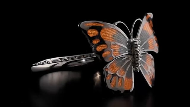  Video Photo 