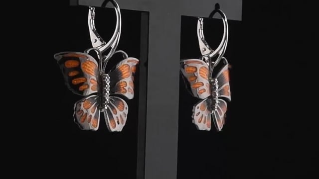  Video Photo 