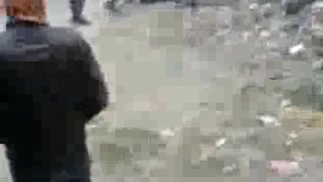 चौखड़ा में एक व्यक्ति को जमीन पर गिराकर घसीट घसीट कर मारने का वीडियो सोशल मीडिया पर वायरल।