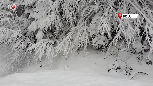 Bolu'da Kartpostallık Kış Manzarası