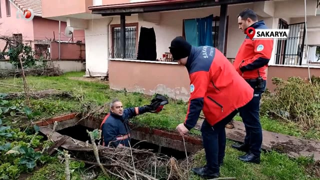 Su Dolu Çukura Düşen İnek, Lahanayla Kurtarıldı